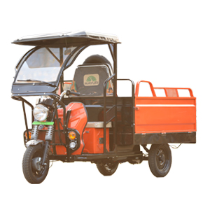 Mayuri E Cart Loader